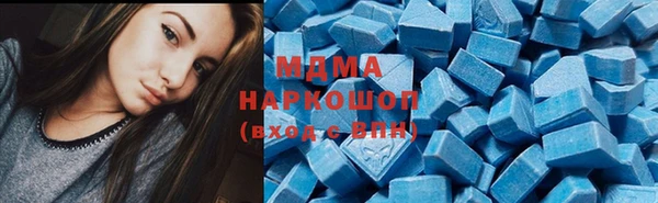 ешки Алексин