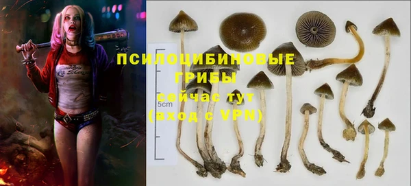 герыч Алексеевка