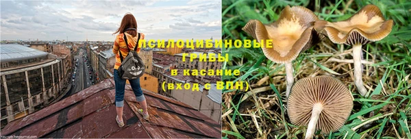 герыч Алексеевка
