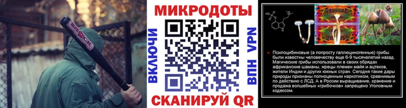 Псилоцибиновые грибы прущие грибы  Полярные Зори 